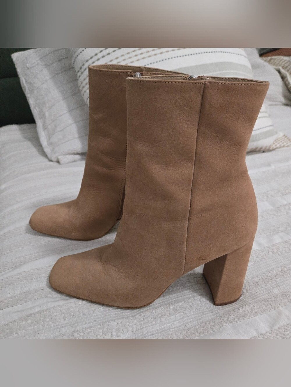 Steve Madden - Lourde Ankle Boots - Camel